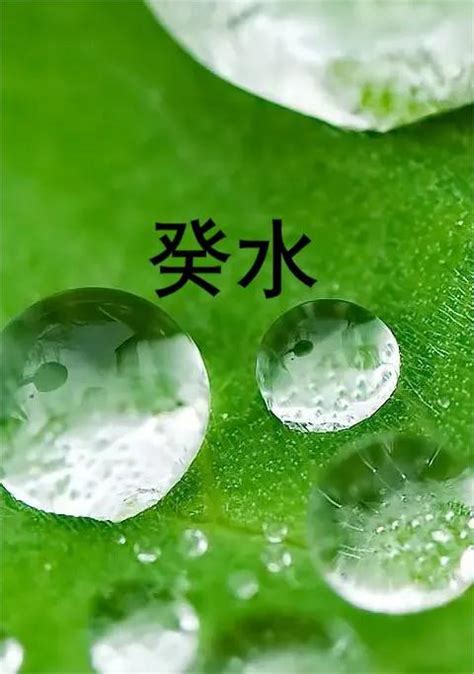 日主天干為水